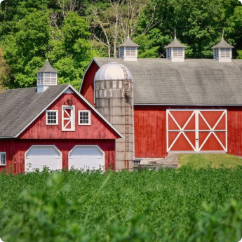 LS Tractor – the best choice for stable and barn work